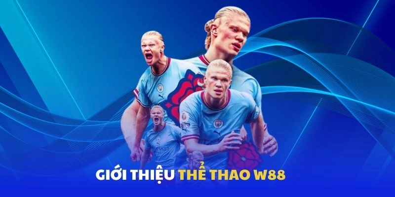 Đôi nét về sảnh cược hàng đầu Châu Á - Thể thao W88 Đôi nét về sảnh cược hàng đầu Châu Á - Thể thao W88